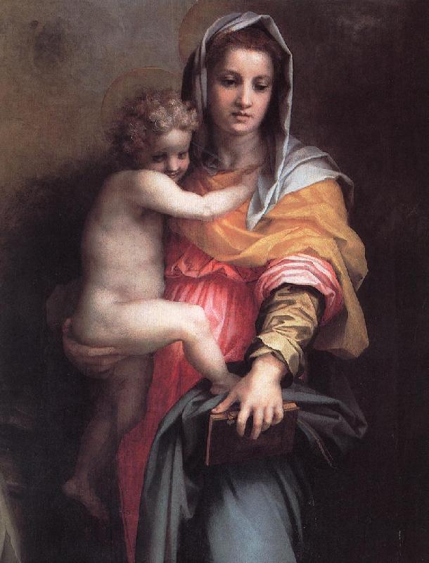 Andrea del Sarto Madonna of the Harpies (detail)  fgfg oil painting picture
